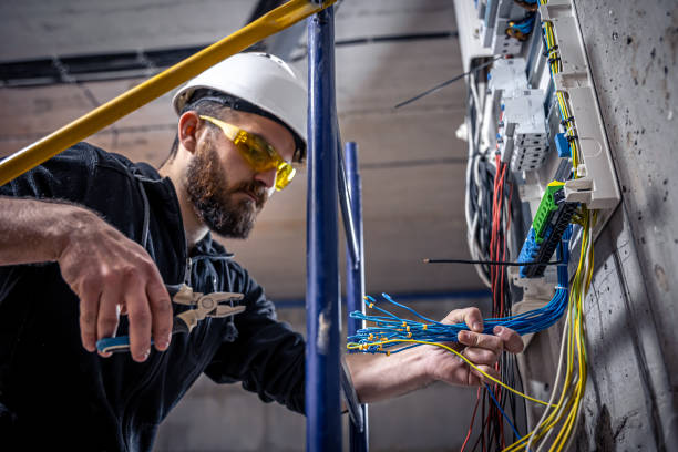 Best Ceiling Fan Installation Electrician  in Donalsonville, GA
